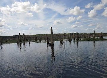 florida/gainesville/attraction/kenwood-boat-ramp-rd