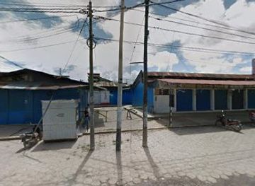 peru/tambopata-national-reserve/attraction/ferreteria-marsa