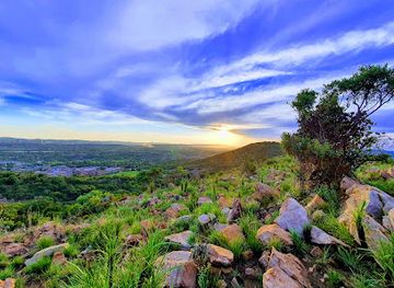south-africa/pretoria/attraction/wonderboom-nature-reserve