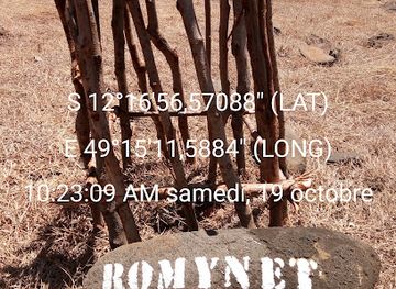 madagascar/diego-suarez/attraction/baobab-romynet-a-saurezensis