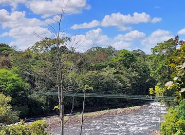 costa-rica/sarapiqui/attraction/reserva-biologica-tirimbina