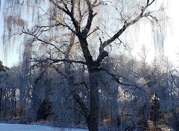 united-kingdom/west-lothian/attraction/north-wood