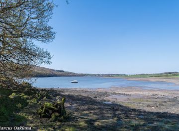 united-kingdom/pembrokeshire-coast-national-park/attraction/national-trust-cleddau-woodlands