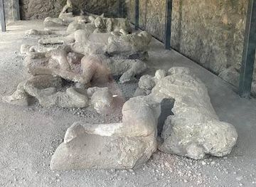 italy/pompeii/attraction/garden-of-the-fugitives