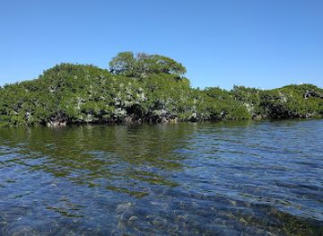 florida/key-largo/attraction/aviary-island
