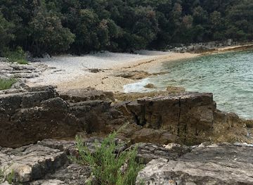 croatia/rovinj/attraction/beach-gustinja