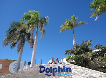 dominican-republic/bavaro/attraction/dolphin-discovery-punta-cana