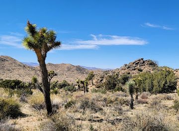 california/joshua-tree/attraction/hi-view-trailhead