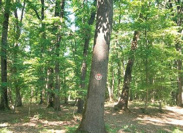romania/sighisoara/attraction/via-transilvanica