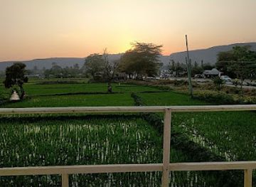 tanzania/lake-manyara-national-park/attraction/rice-fields-view-point