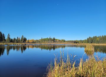 canada/parkland-region/attraction/ominnik-marsh-trail