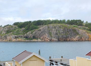 sweden/bohuslan/attraction/rock-carvings-in-tanum