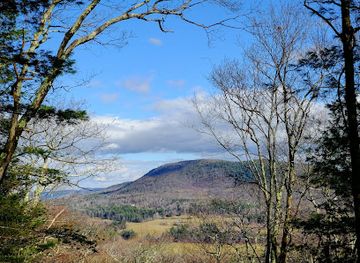 massachusetts/berkshires/attraction/alford-springs-reserve