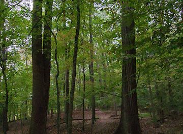 maryland/billy-goat-trail/attraction/woodland-trail-view