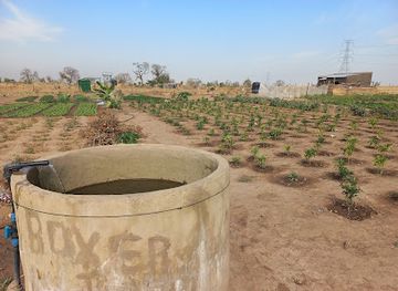 senegal/tambacounda/attraction/monument-plateau