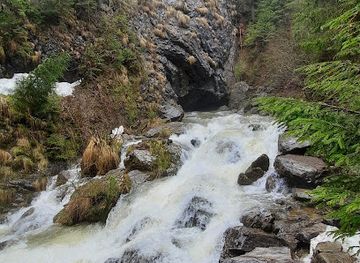 romania/bihor/attraction/izbucul-ponor