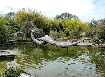 Jacksonville Zoo and Gardens