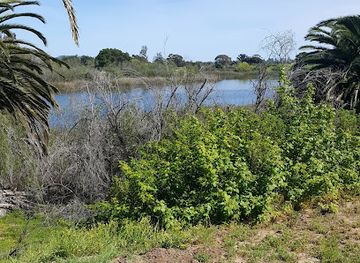 california/south-coast/attraction/south-coast-railroad-museum