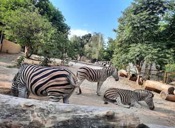 moldova/vatra/attraction/zoo-of-chisinau