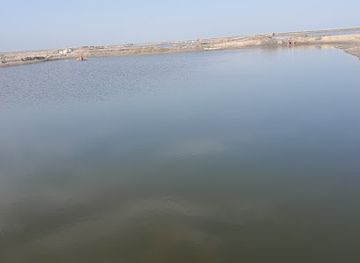 egypt/damietta/attraction/buhayrat-al-manzalah