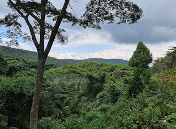 zimbabwe/chimanimani-national-park/attraction/bridal-veils-entrance
