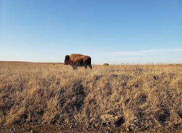 Joseph H. Williams Tallgrass Prairie Preserve