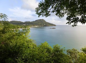 colombia/insular-region/attraction/manchaneel-beach