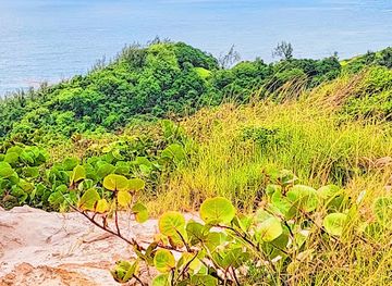 barbados/animal-flower-cave/attraction/enlightened-travelers