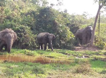 india/northeast-india/attraction/marat-longri-wildlife-sanctuary