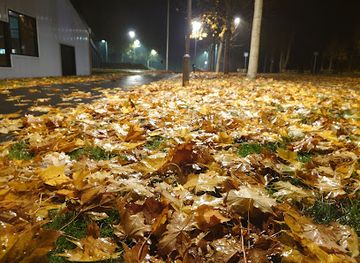 denmark/herning/landmark/befrielsessten-i-gullestrup