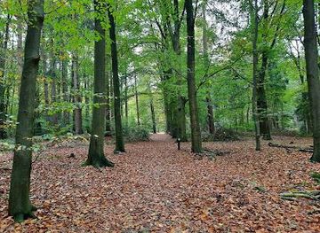 netherlands/groningen/attraction/asserbos