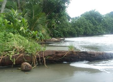 trinidad-and-tobago/scarborough/attraction/bacolet-beach