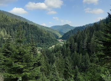 germany/black-forest/attraction/burgbach-wasserfall