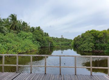 maldives/thinadhoo-island/attraction/nature-park