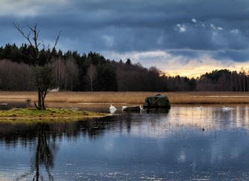 finland/archipelago-sea/attraction/lenholmen-nature-preserve