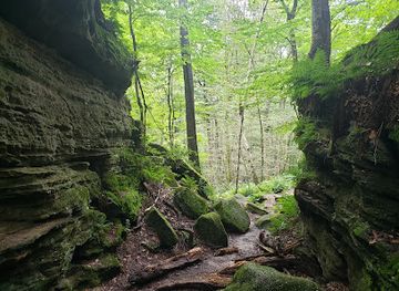 pennsylvania/allegheny-national-forest/attraction/panama-rocks-scenic-park