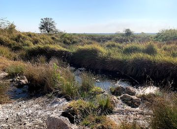 zambia/blue-lagoon-national-park/attraction/gwisho-hot-springs
