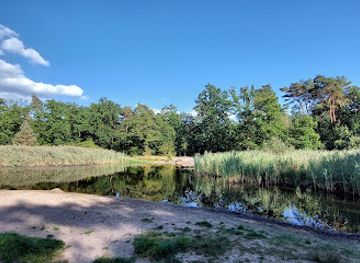 netherlands/eindhoven/attraction/rietven