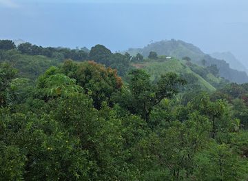 saint-vincent-and-the-grenadines/chateaubelair/attraction/lampkin-s-natural-farm