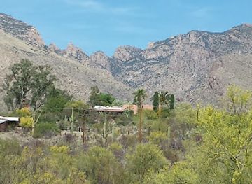 arizona/tucson/attraction/tucson-museum-of-art