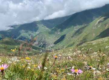 turkiye/kackar-mountains/attraction/palakcur-yaylasi