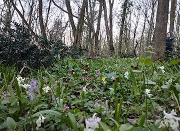 romania/targu-jiu/attraction/esplanada-targu-jiu