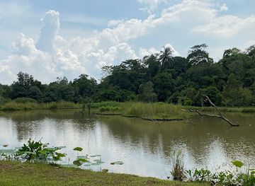singapore/pulau-ubin/attraction/sensory-trail-pond