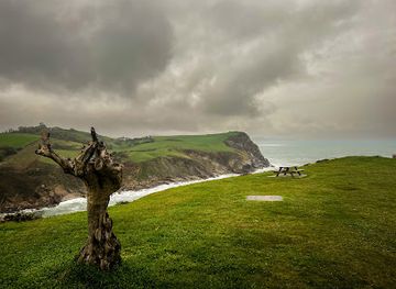 spain/cantabria/attraction/banco-tronco-de-madera
