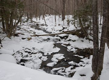 vermont/sugarbush-resort/attraction/phen-basin-trailhead