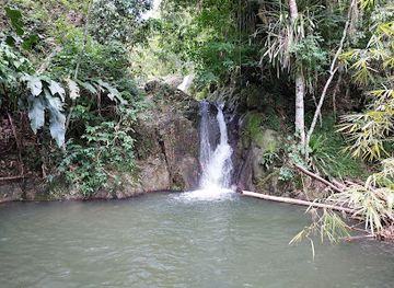 trinidad-and-tobago/tobago/attraction/craig-hall-waterfall