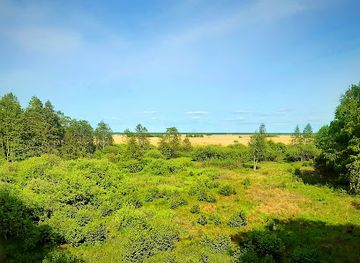 latvia/pape-nature-reserve/attraction/bird-watch-tower