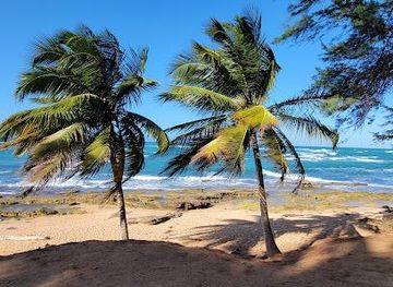 puerto-rico/carolina/attraction/paseo-tablado-de-pinones