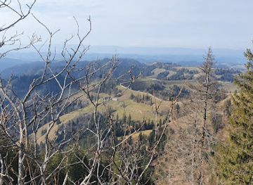 switzerland/emmental/attraction/farnliesel