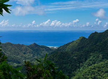 cook-islands/rarotonga/attraction/ridge-junction-cross-island-hike